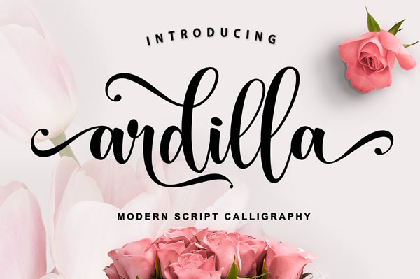 Ardilla Font: Elevate Your Designs with Classic Calligraphy